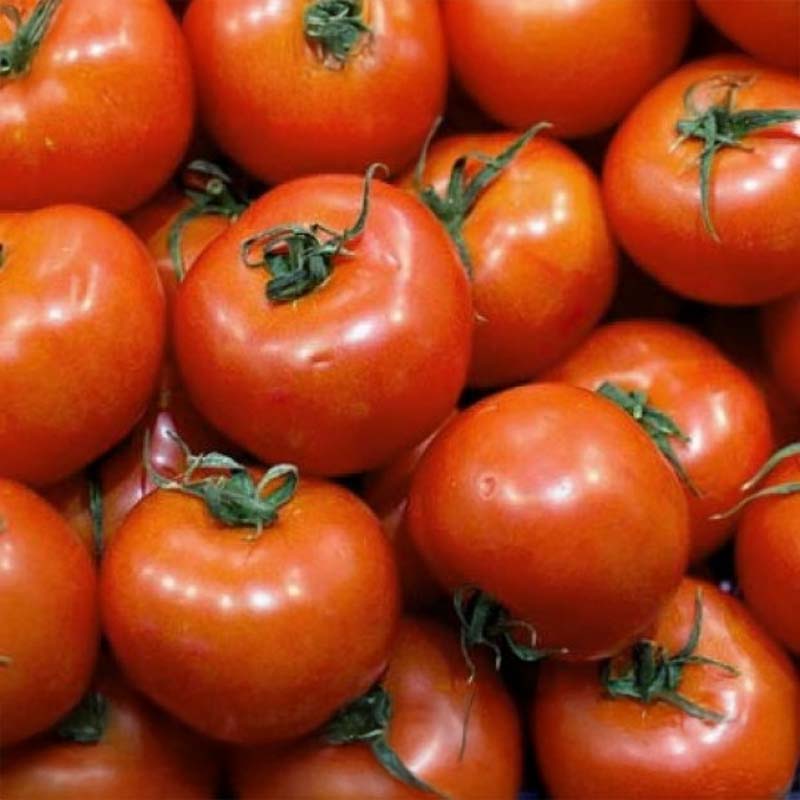 Tomato 'Craigella'