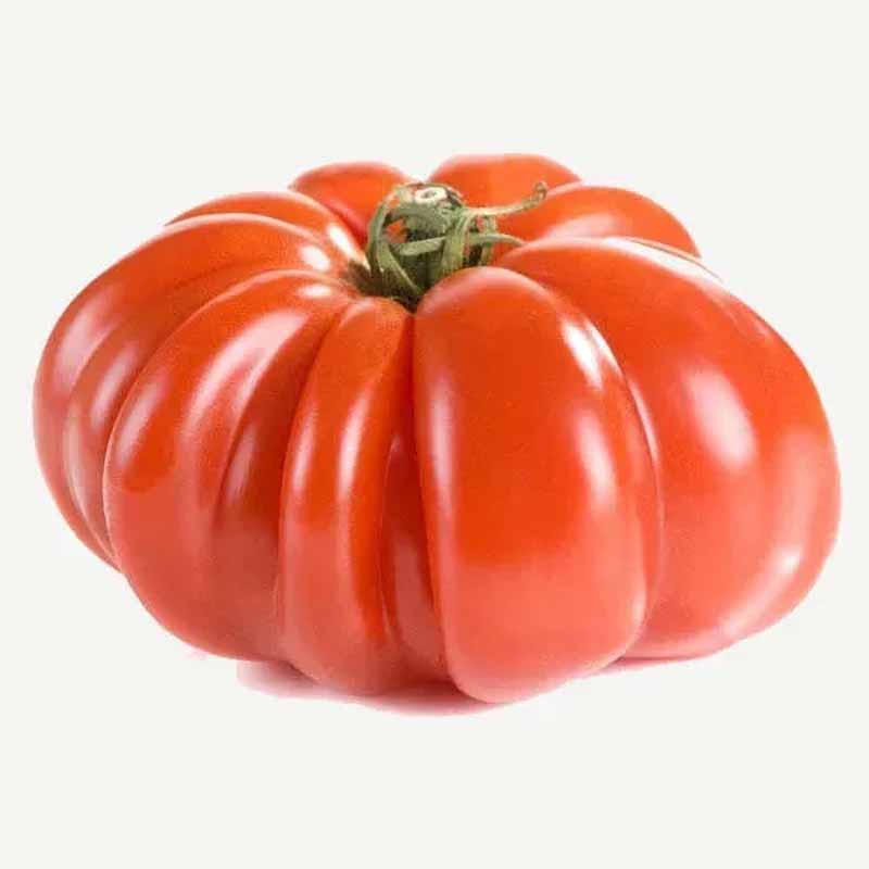 Tomato 'Costoluto Genovese'