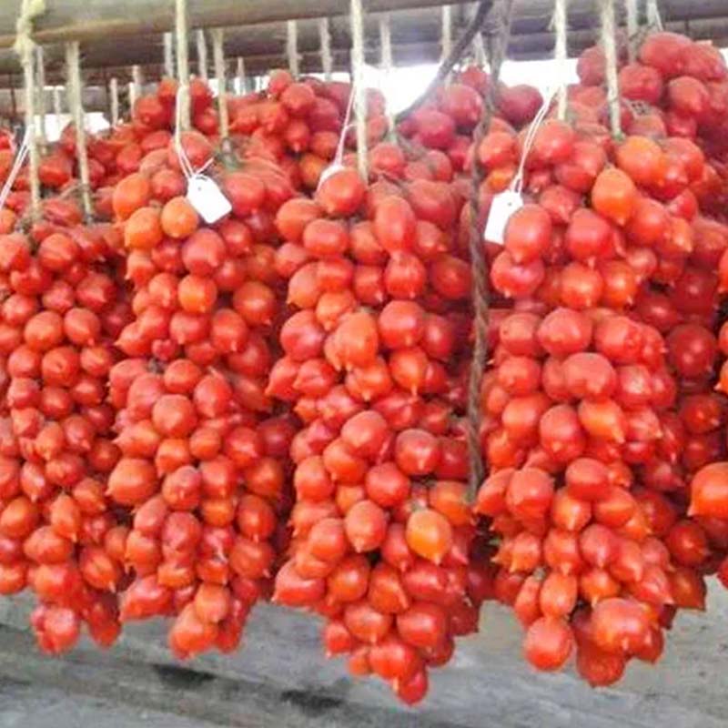 Tomato 'A Grappoli dInverno'