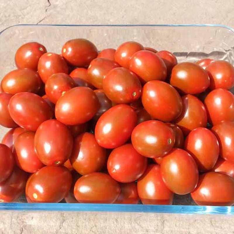 Tomato 'Dark red egg'
