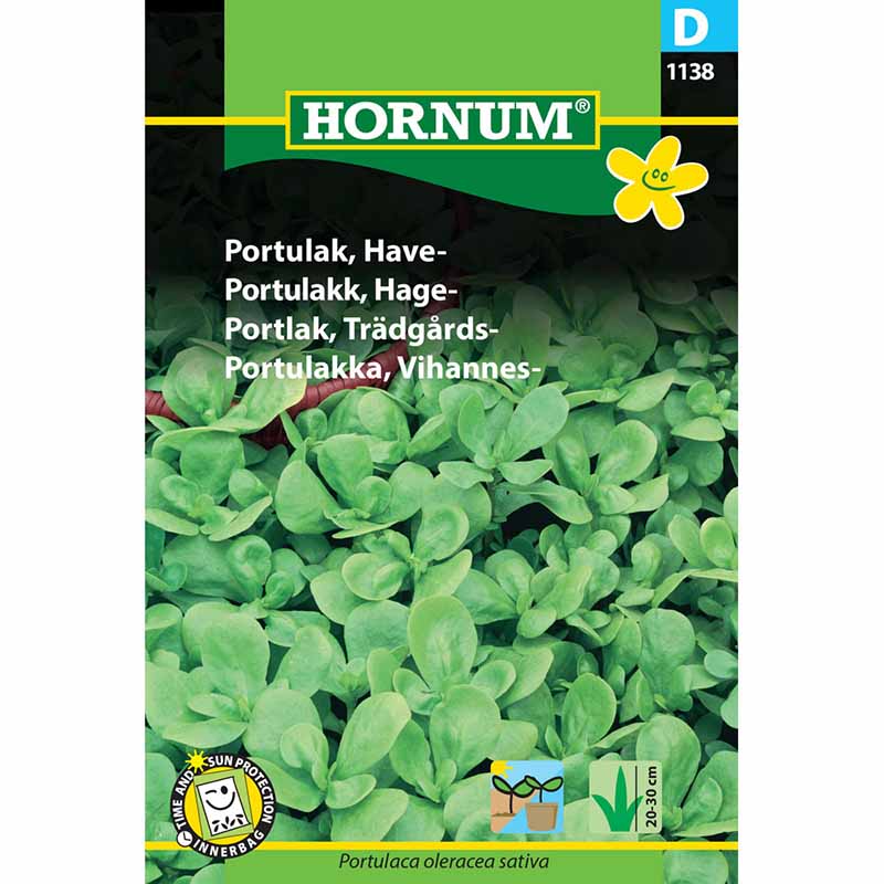 Garden Purslane