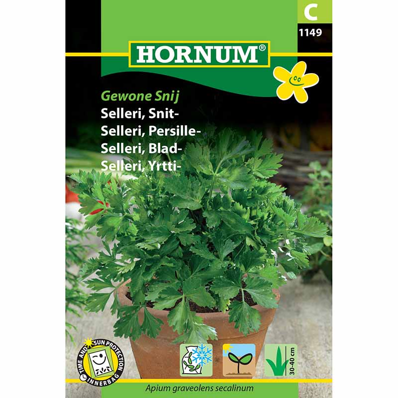 Leaf Celery 'Gewone Snij'