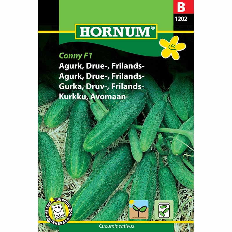 Outdoor Cucumber 'Libelle' F1