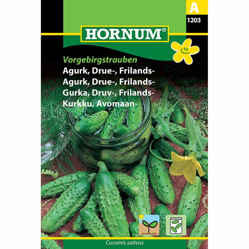 Outdoor Cucumber 'Vorgebirgstrauben'