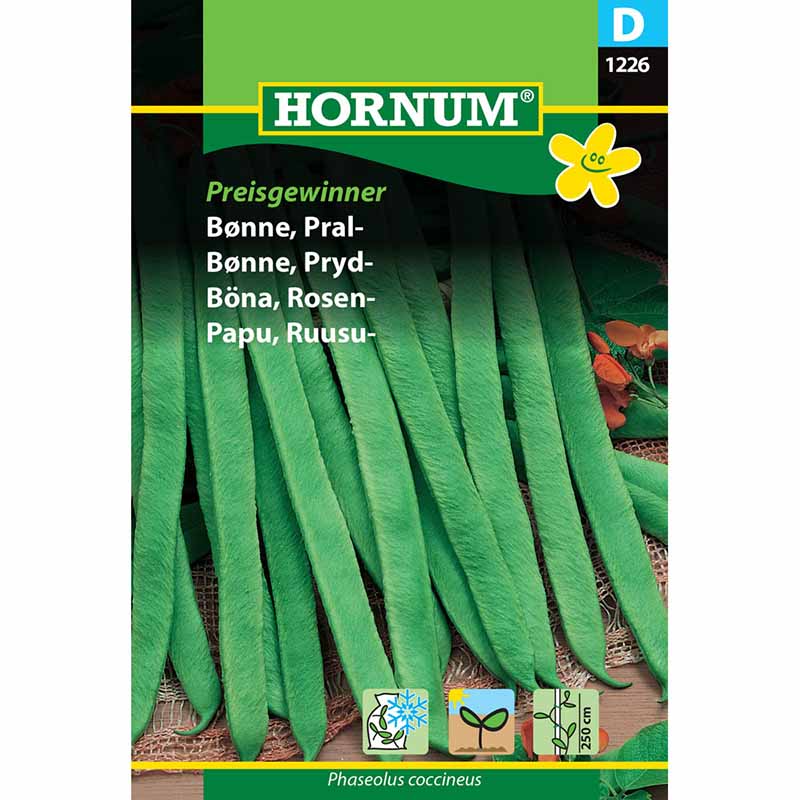 Runner Bean 'Preisgewinner'