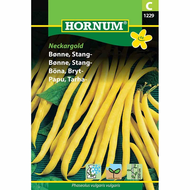 Snap Bean 'Neckargold'