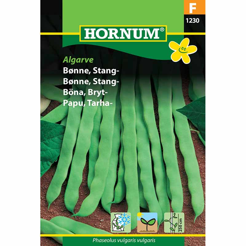 Snap Bean 'Algarve'