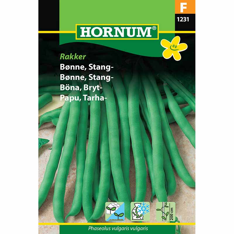 Snap Bean 'Rakker'