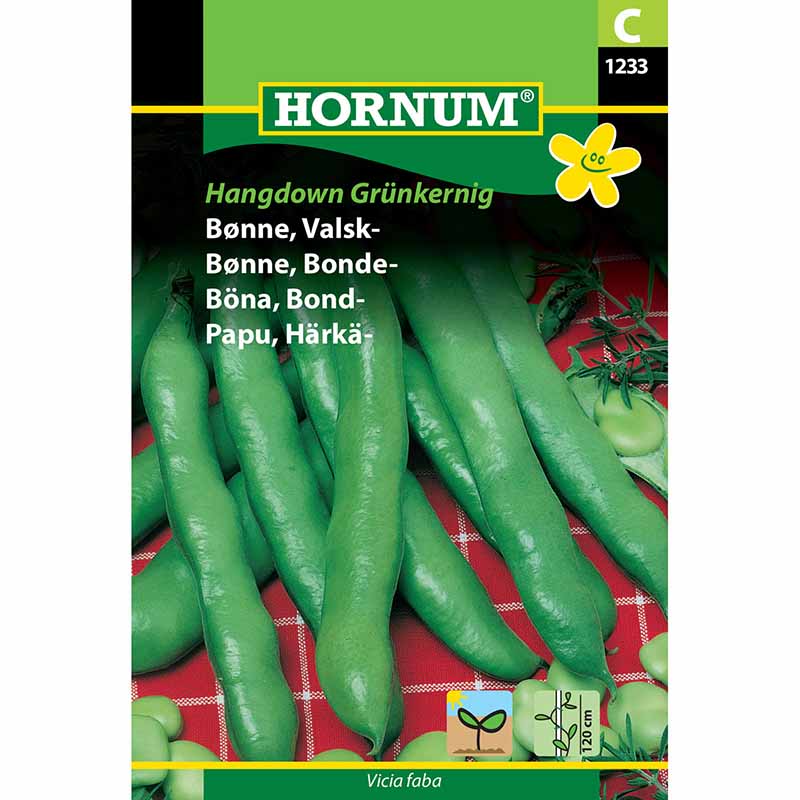 Broad Bean 'Hangdown Grünkernig'