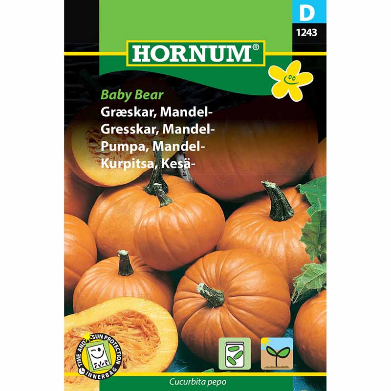 Oil Pumpkin 'Baby Bear'