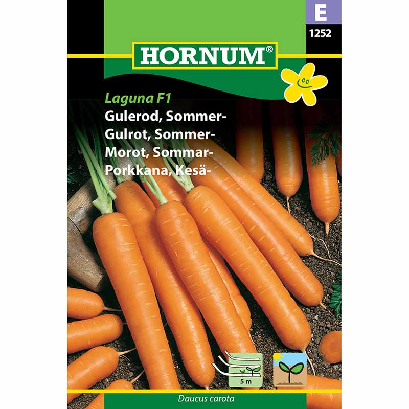 Summer Carrot 'Laguna' F1