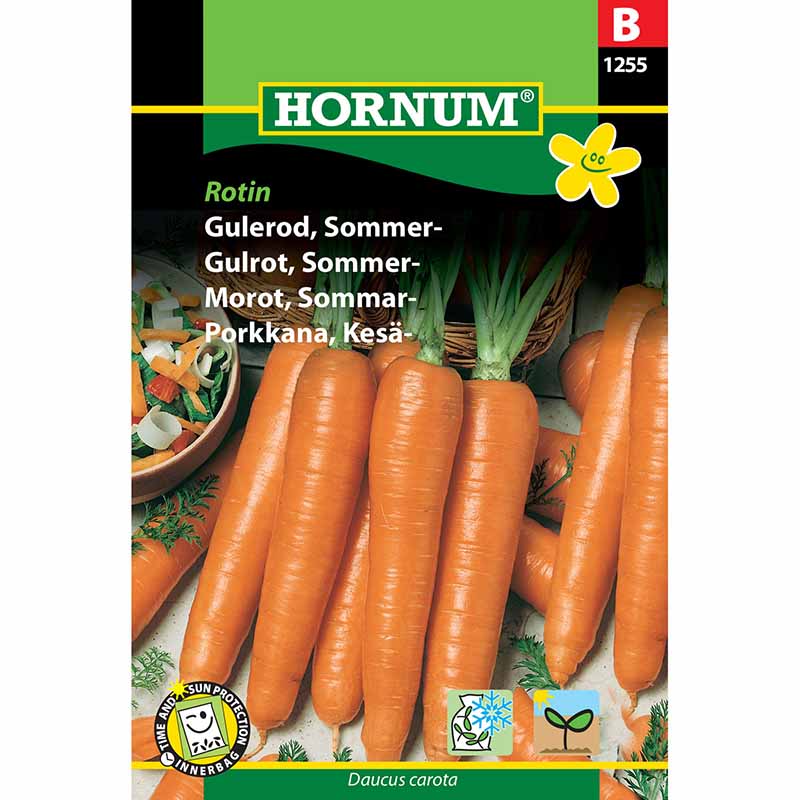 Summer Carrot 'Rotin'