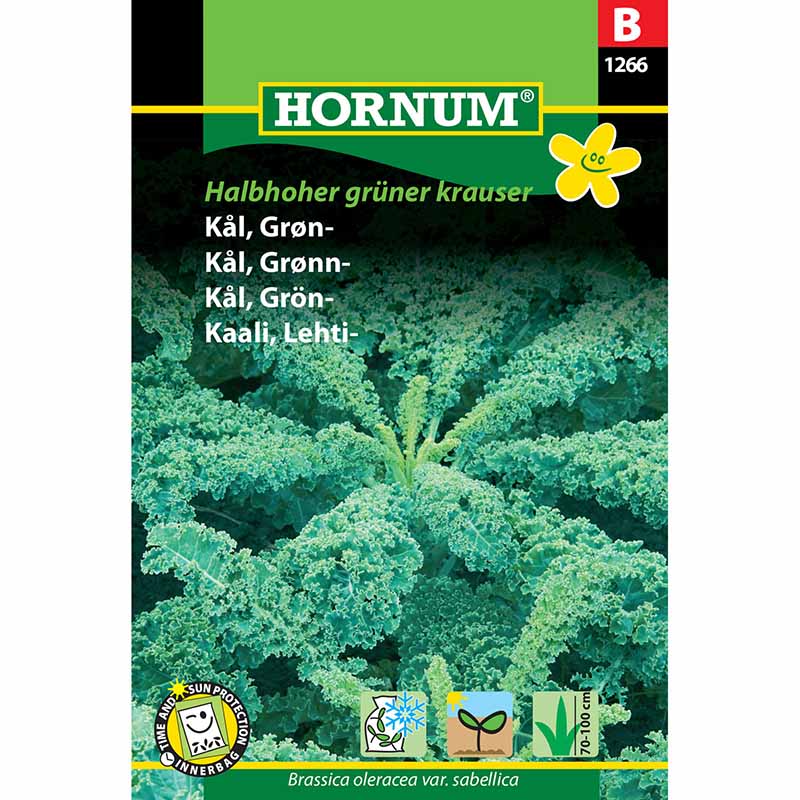 Kale 'Halbhoher grüner krauser'
