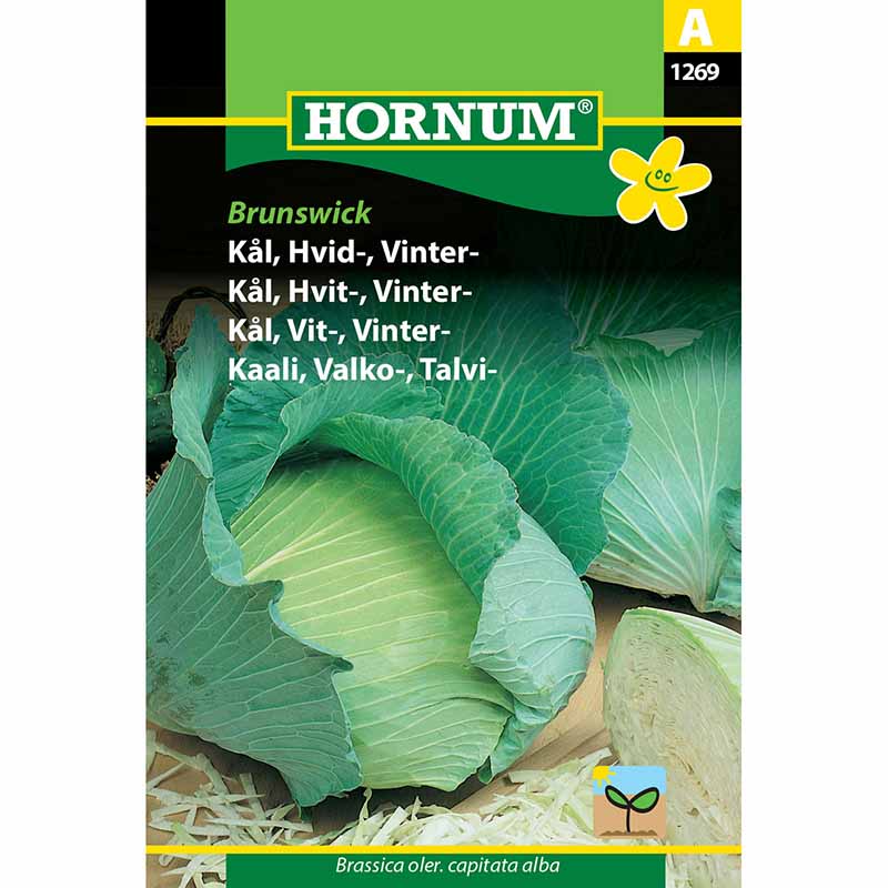 White Cabbage 'Golden Acre'