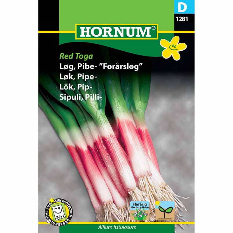 Welsh Onion 'Red Toga'