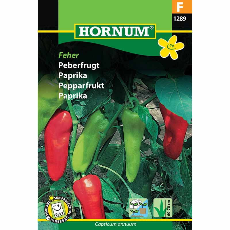 Sweet Pepper 'Kostas' F1