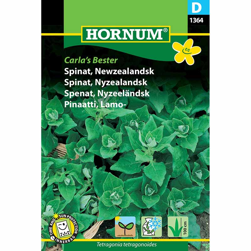 New Zealand Spinach 'Carlas Bester'
