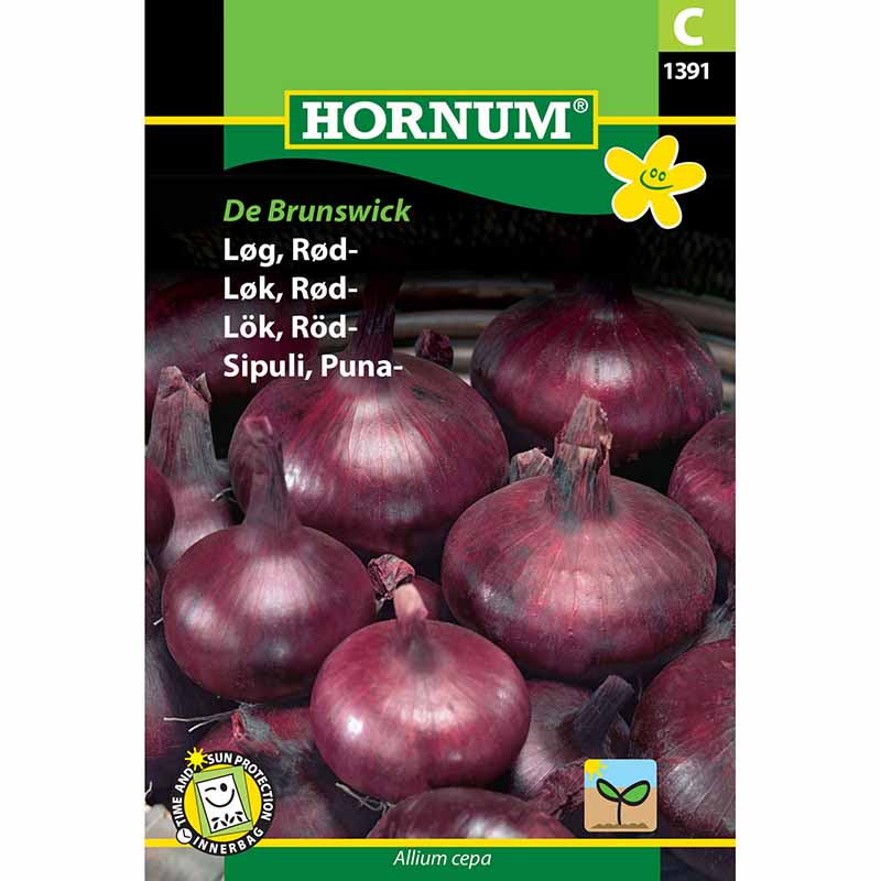 Red Onion 'Braunschweiger Dunkelblutrote'