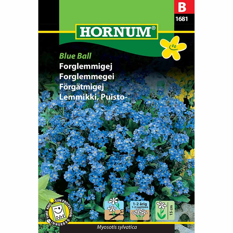 Forget-me-not 'Blue Ball'
