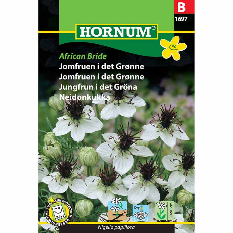 Love-in-a-Mist 'African Bride'