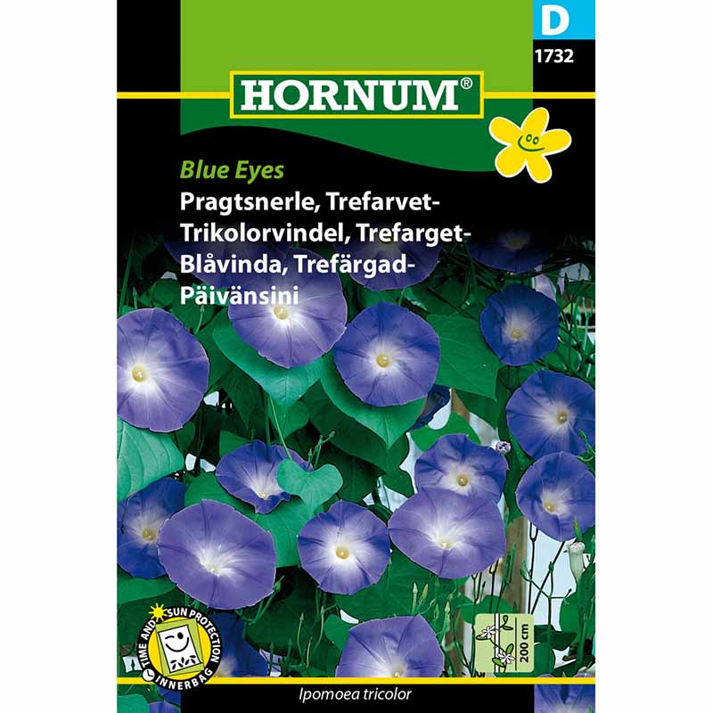 Tricolor Morning Glory 'Blue Eyes'