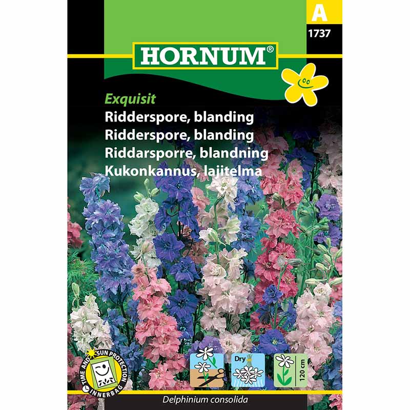 Larkspur 'Exquisit'