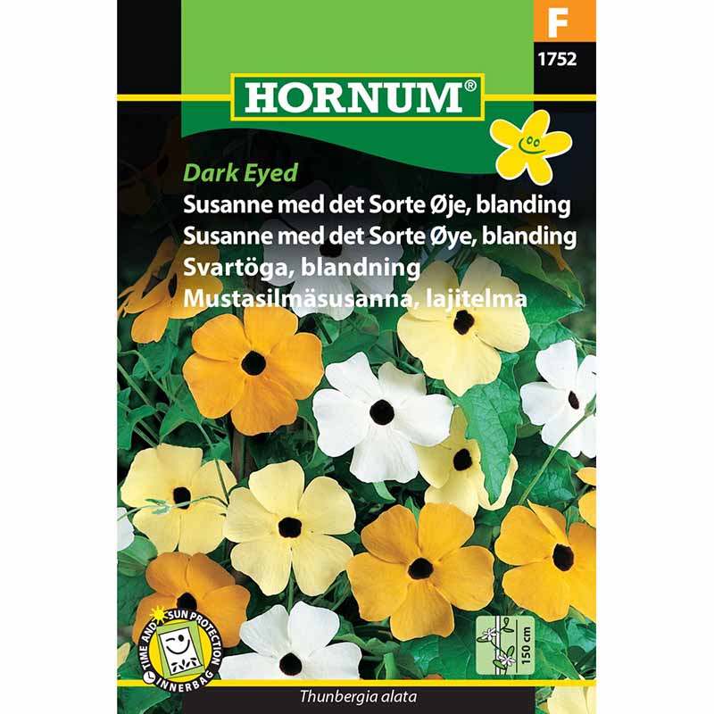 Black-eyed Susan Vine 'Dark Eyed'