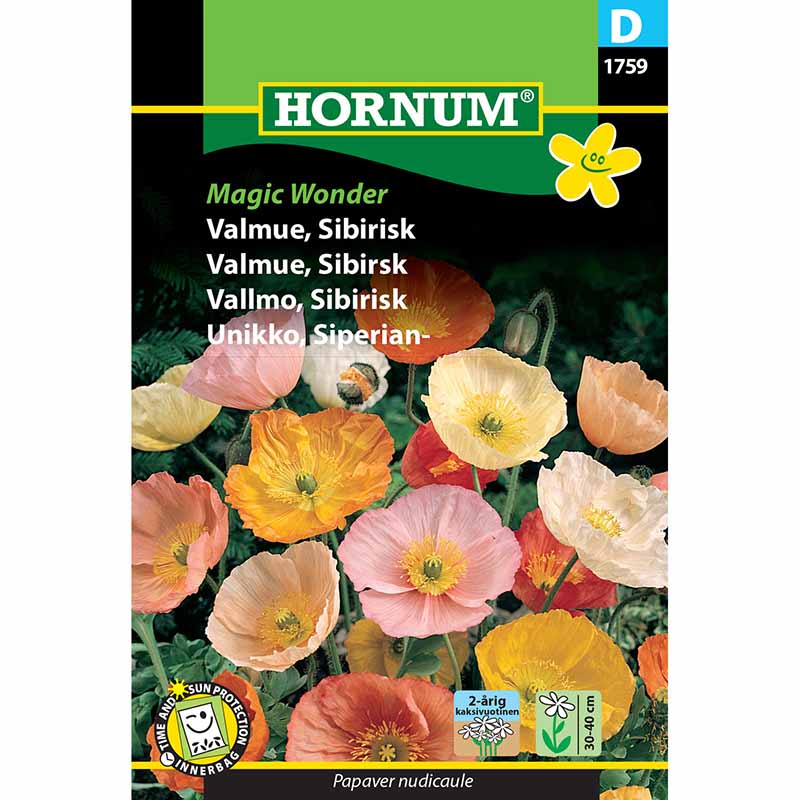 Siberian Poppy 'Magic Wonder'