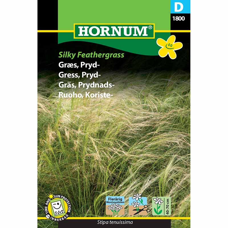 Ornamental Grass 'Silky Feathergrass'