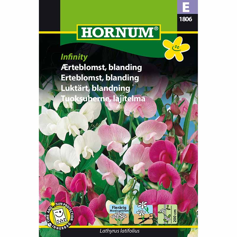 Sweet Pea 'Infinity'