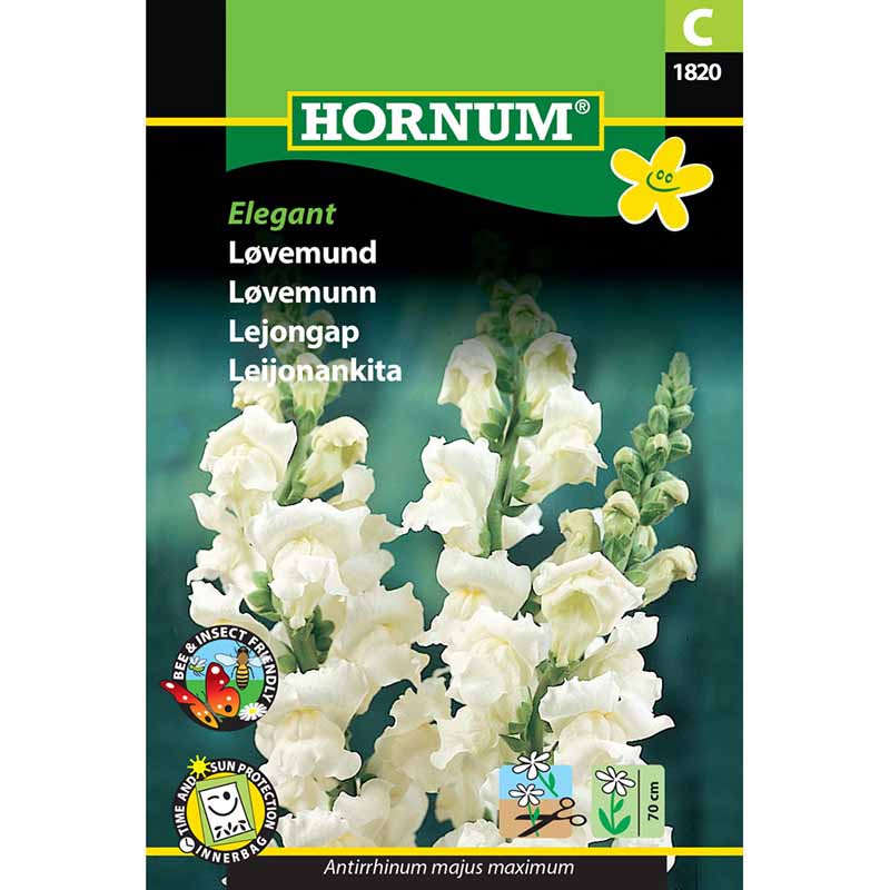 Snapdragon 'Elegant'