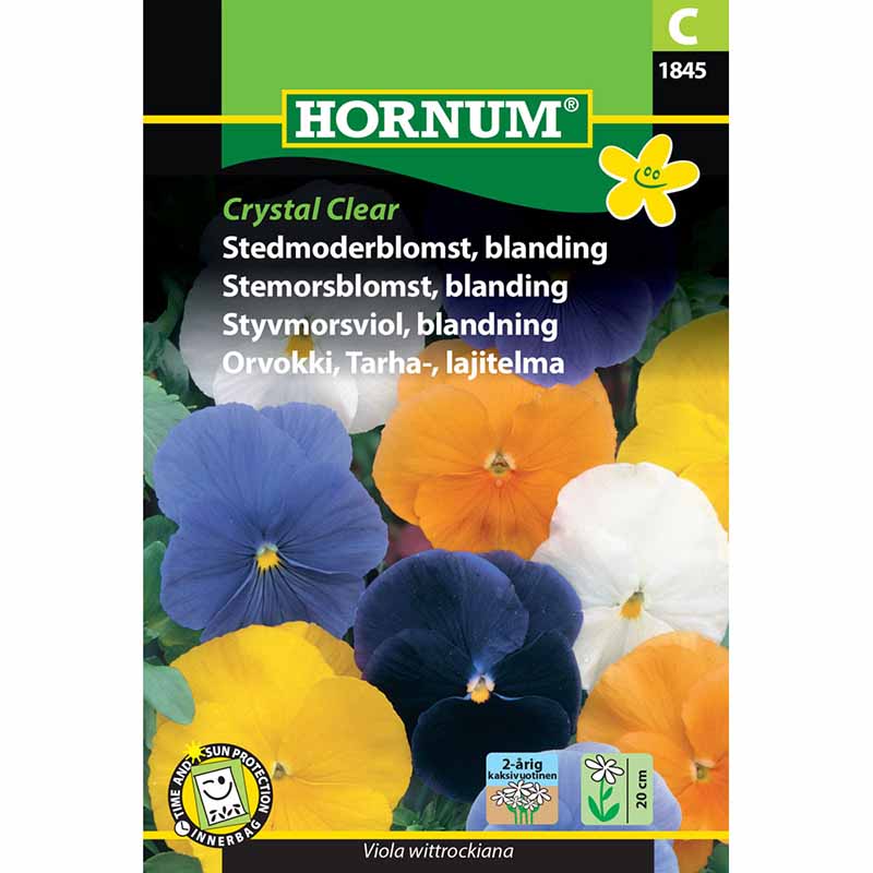 Pansy 'Crystal Clear'