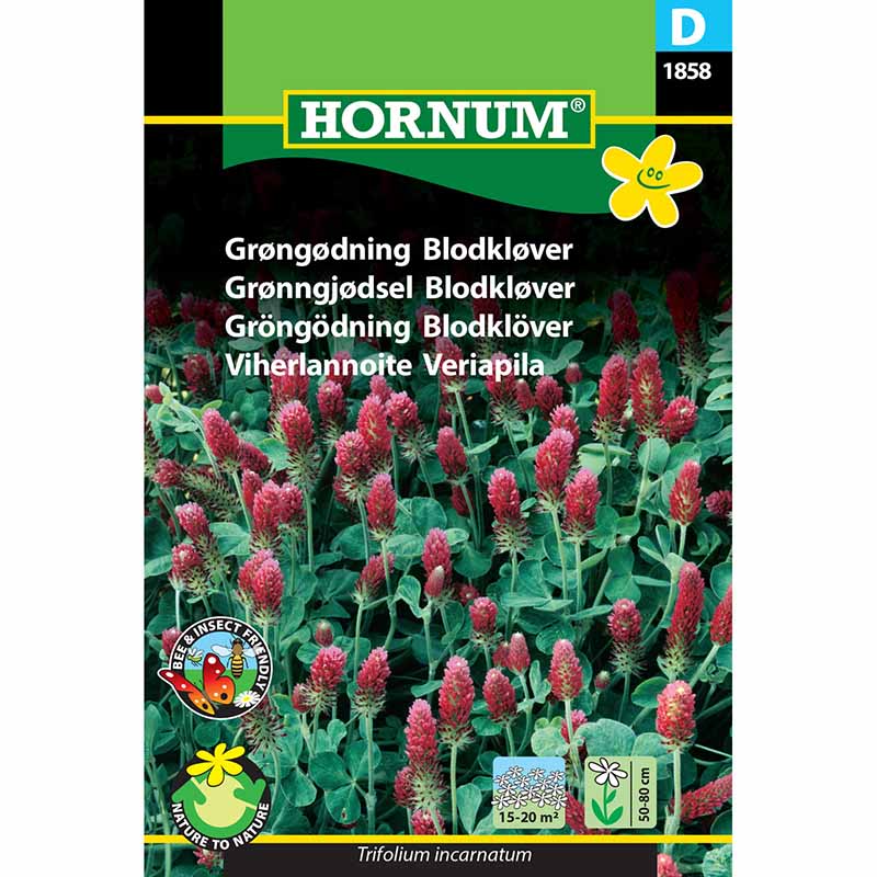 Green Manure 'Crimson Clover'