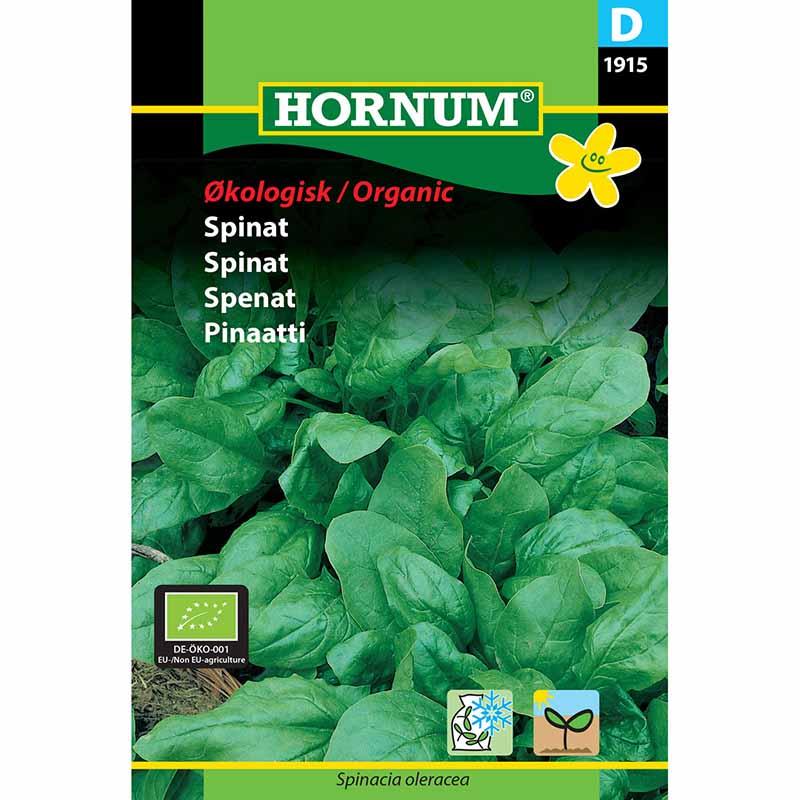 Spinach 'Winterreuzen'