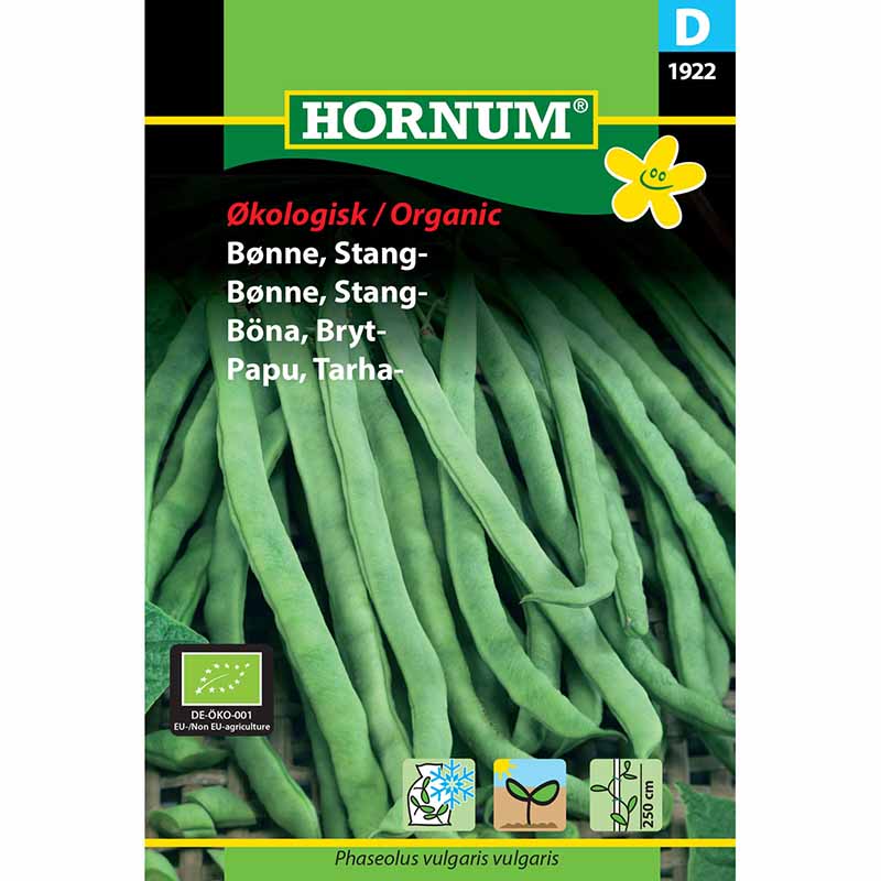 French Bean 'Neckarkönigin'