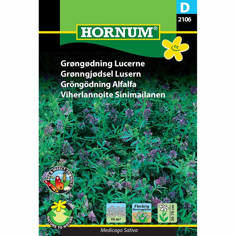 Green Manure Alfalfa