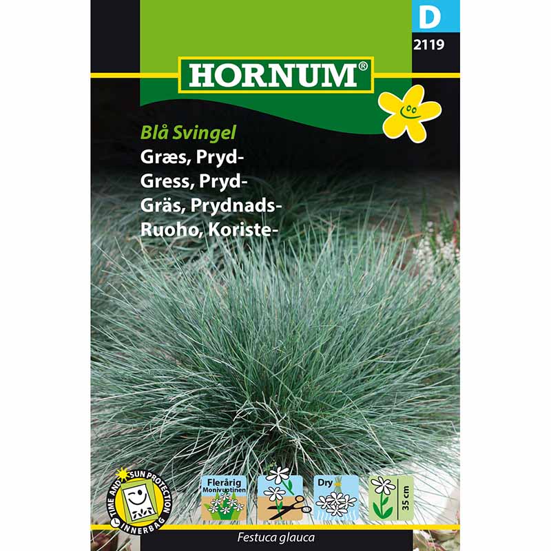 Ornamental Grass Blue Fescue