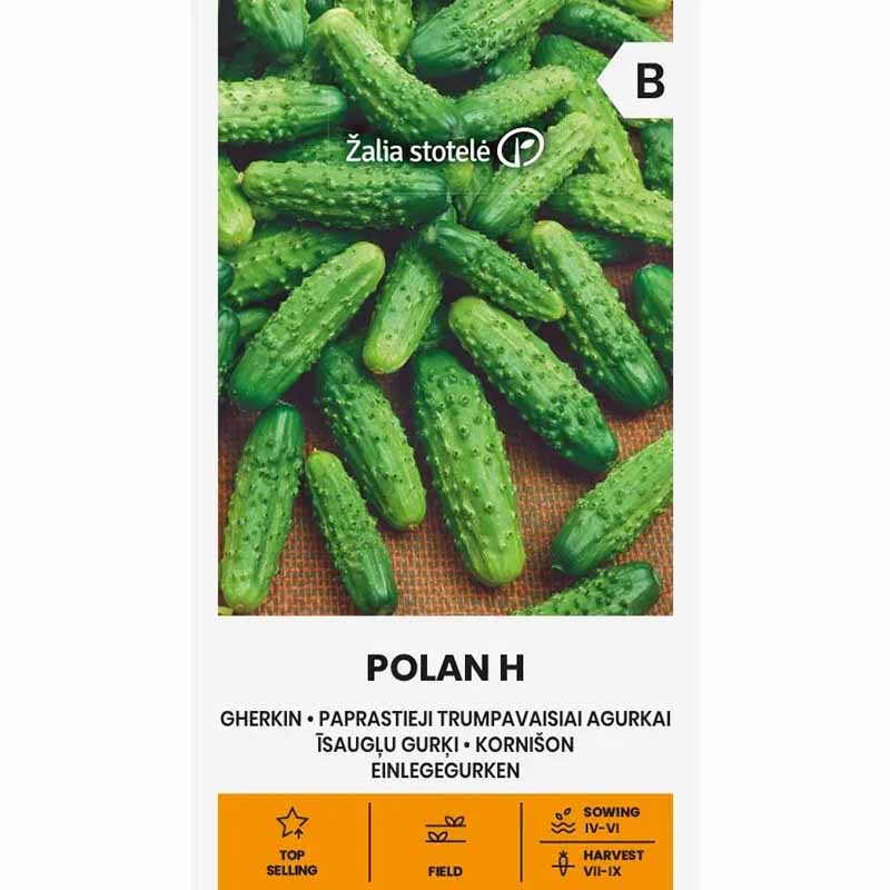 Outdoor Cucumber 'Polan' F1