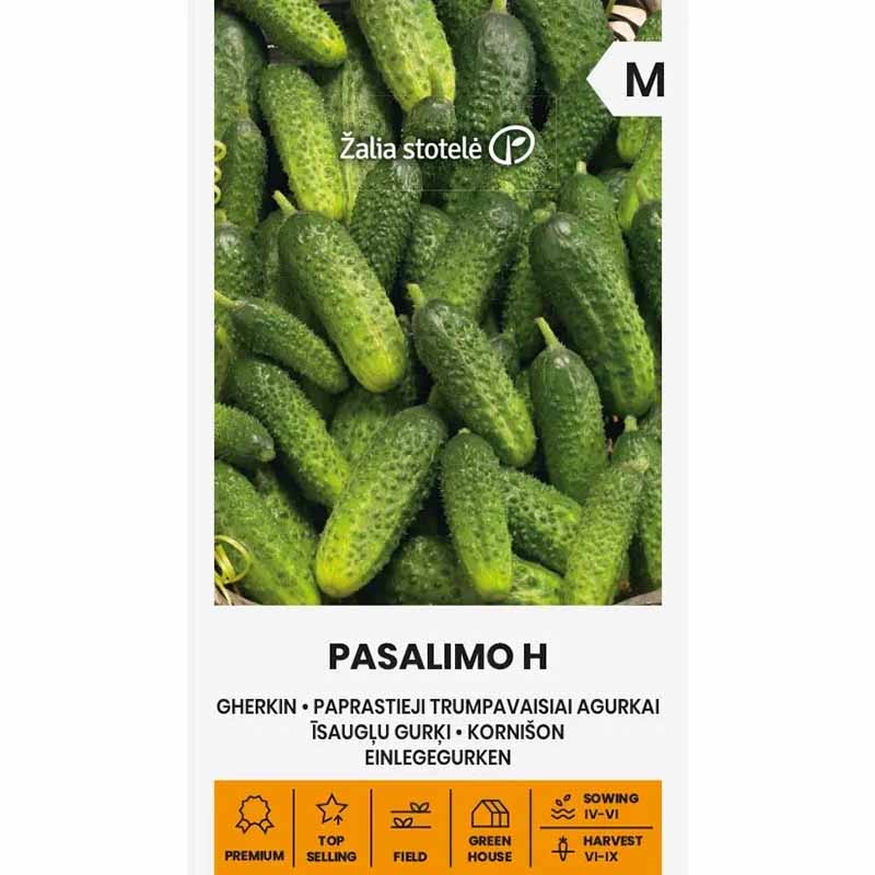 Outdoor Cucumber 'Pasalimo' F1