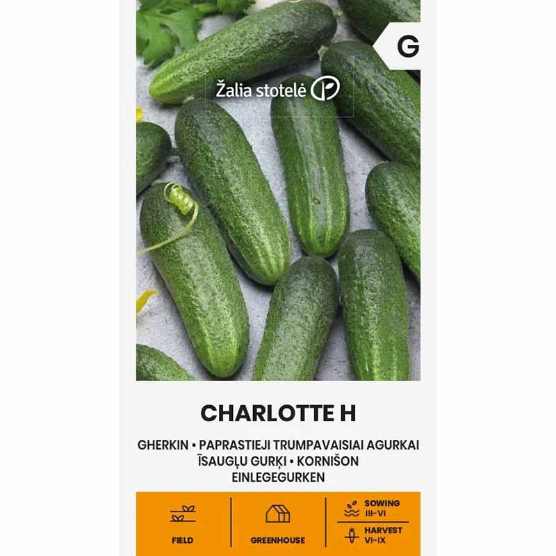 Outdoor Cucumber 'Charlotte' F1