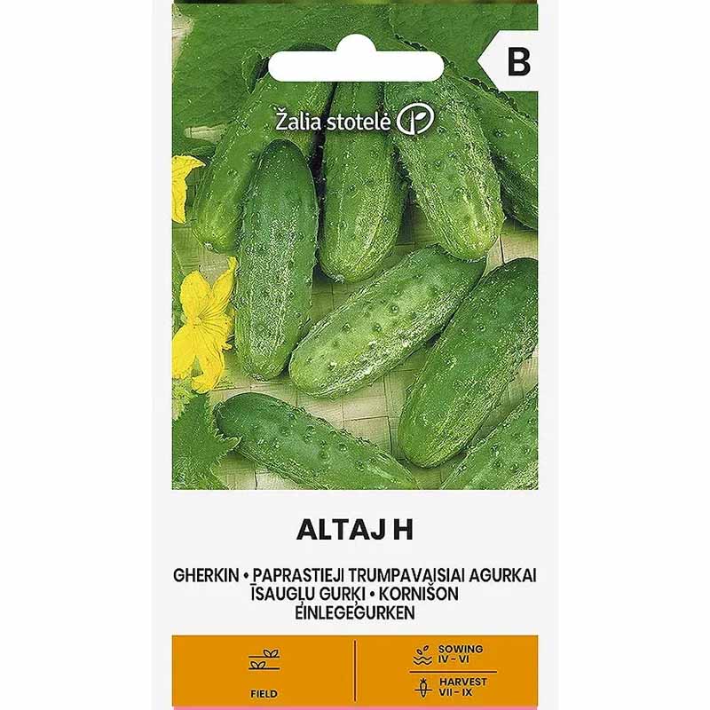 Cucumber 'Altaj' F1