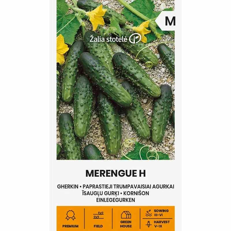 Outdoor Cucumber 'Merengue' F1