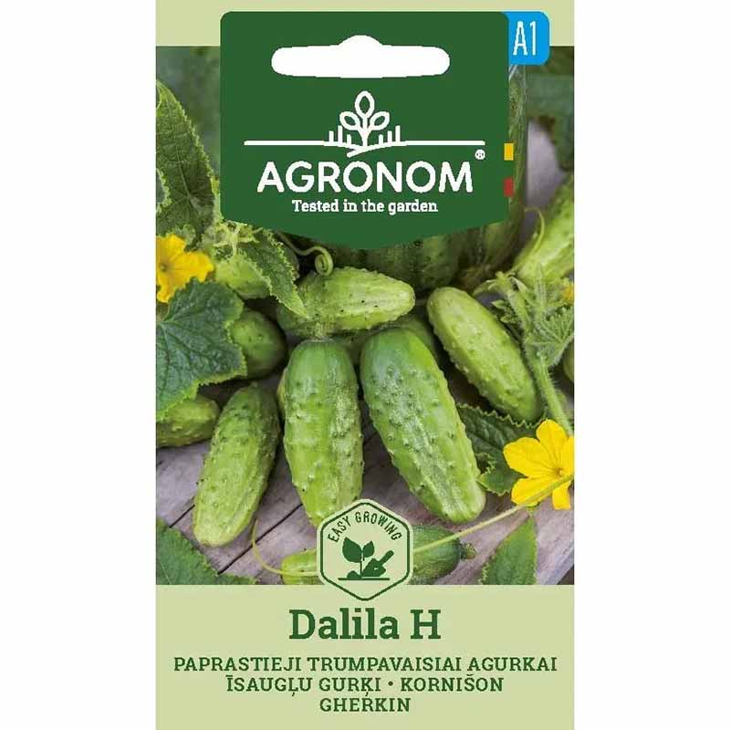 Cucumber 'Dalila' F1