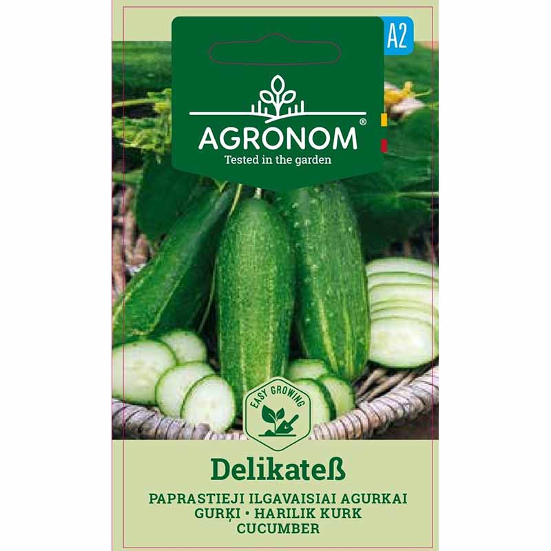 Greenhouse Cucumber 'Delikatess'