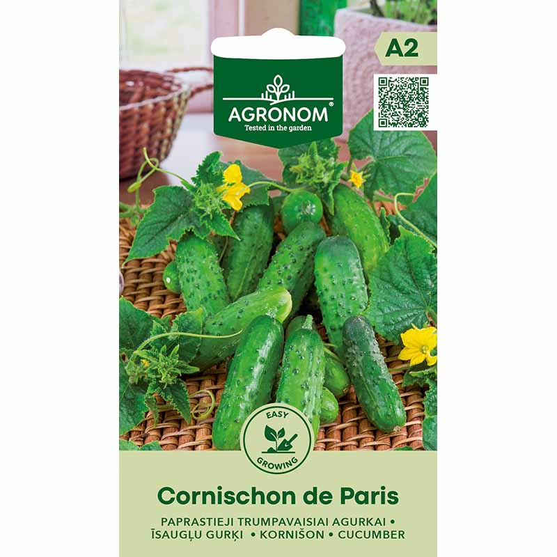 Cucumber 'Cornichon de Paris'