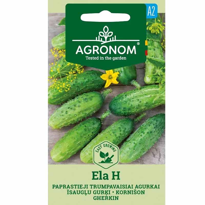 Cucumber 'Ela' F1