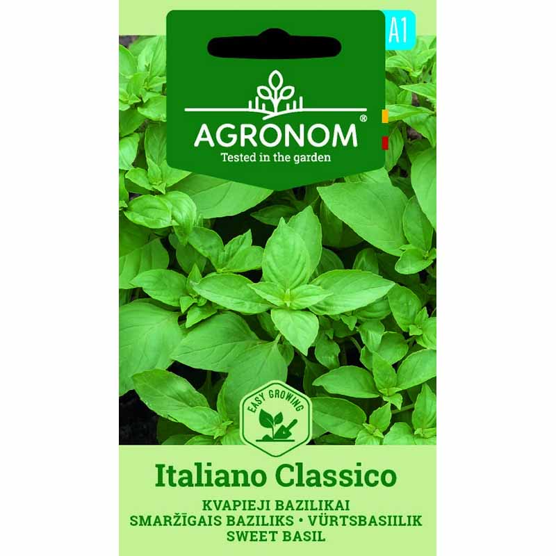 Basil 'Italiano classico'