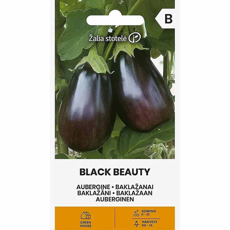 Eggplant 'Black Beauty'