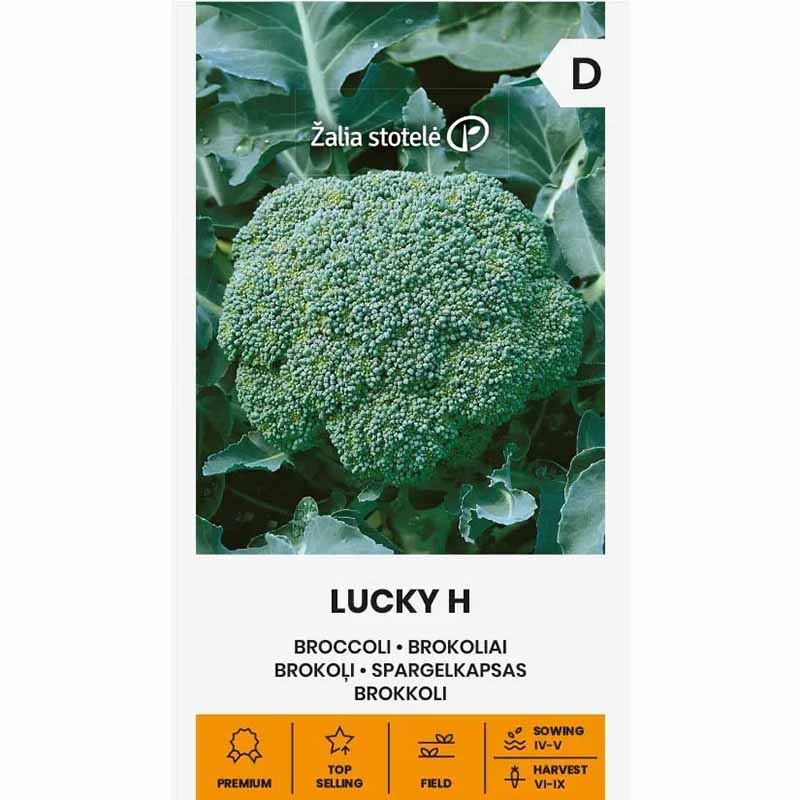 Broccoli 'Lucky' H