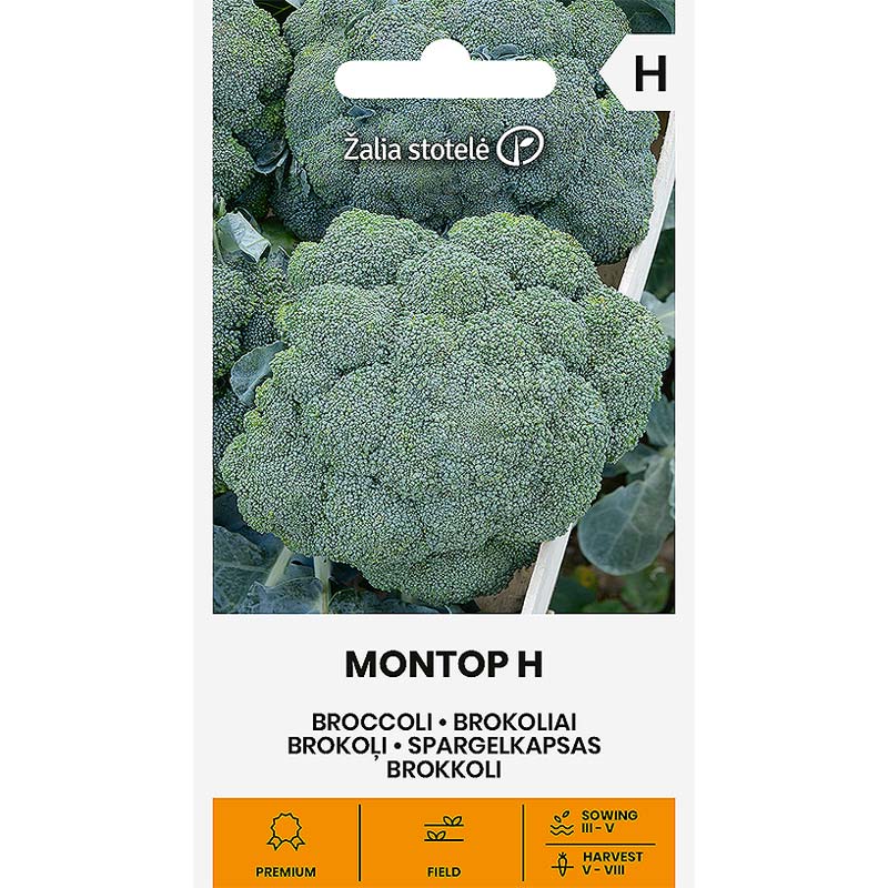Broccoli 'Montop' H